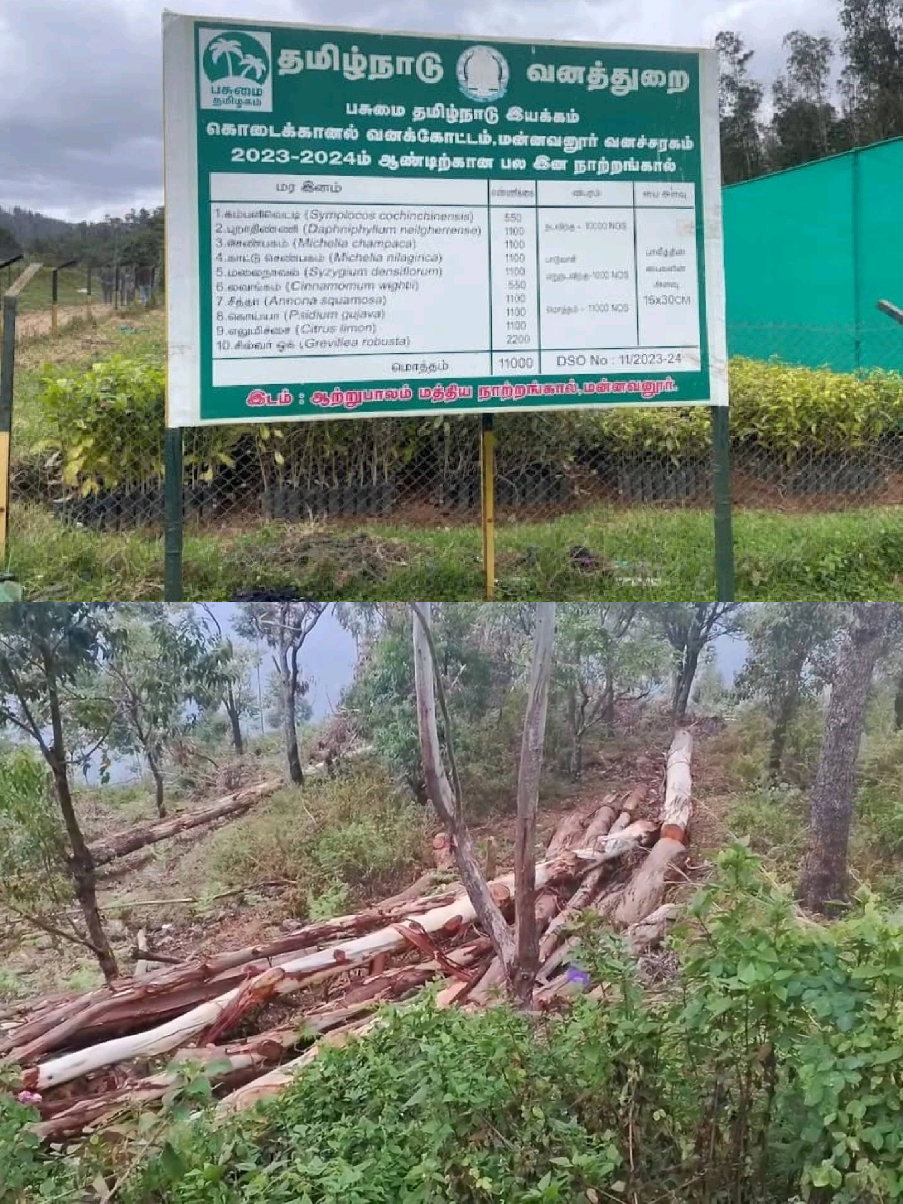 Dindigul district - Grievance against forest department