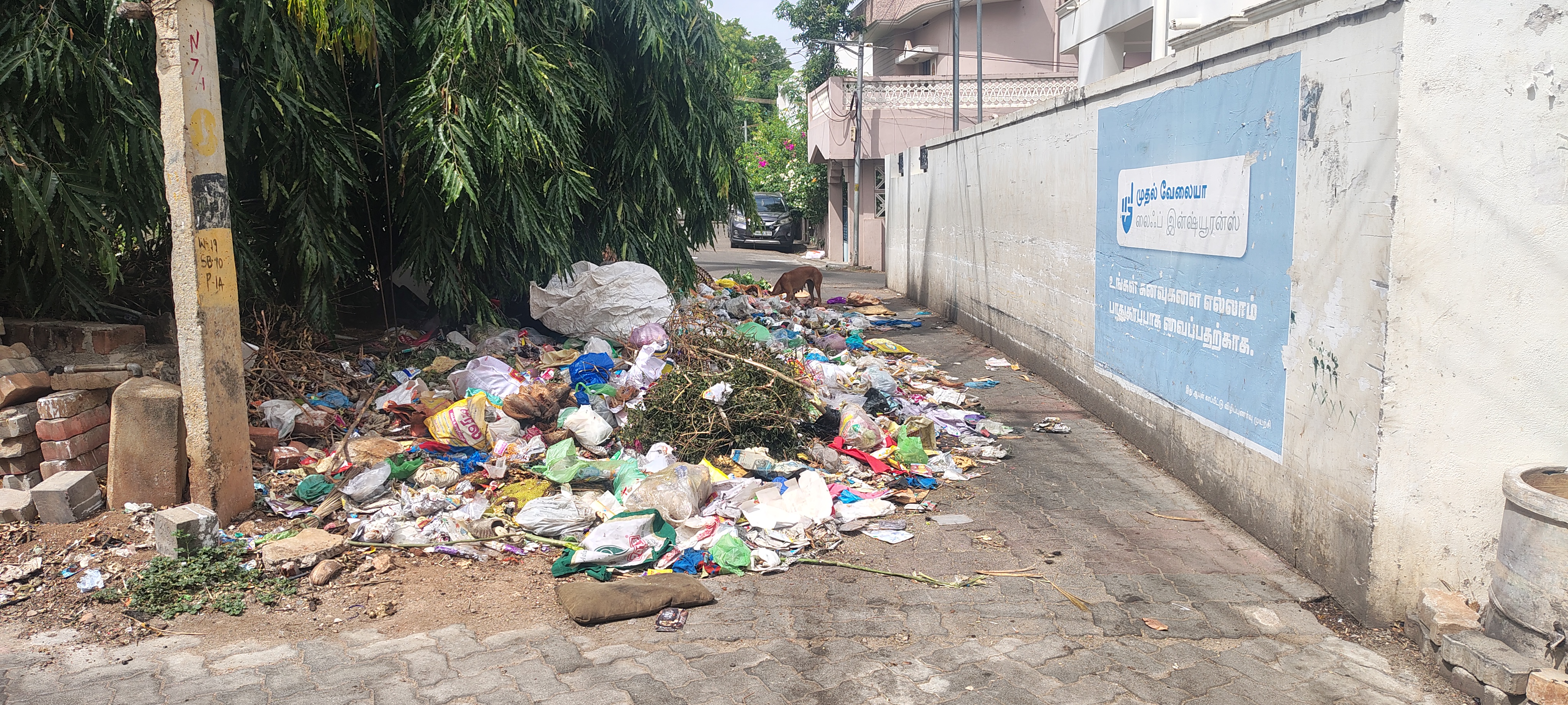தேனி மாவட்டம் - சுகாதாரத்தில் அலட்சியம் காட்டும் தேனி அல்லிநகரம் நகராட்சி !!!!