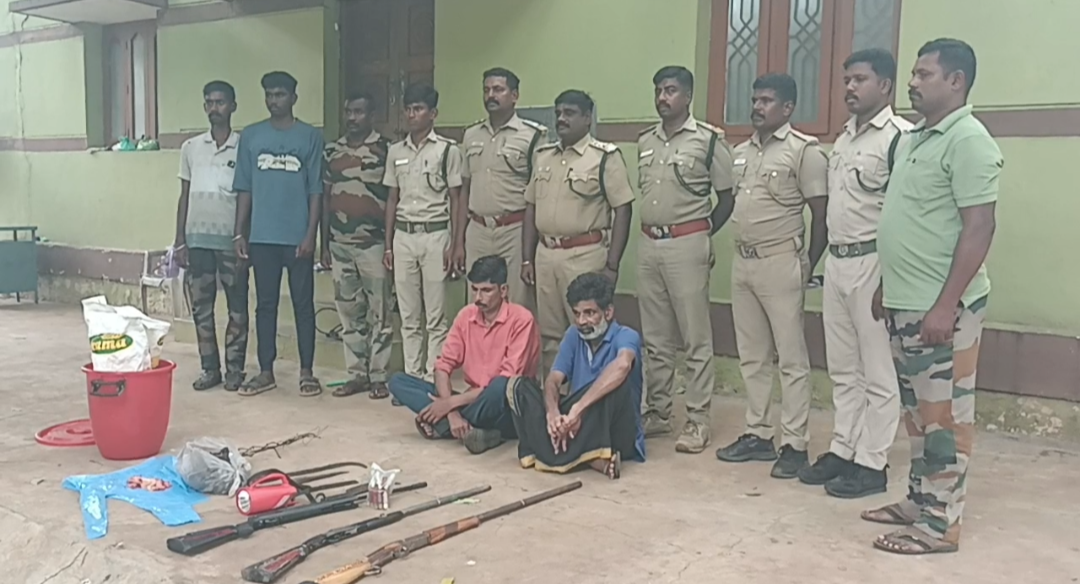 திண்டுக்கல் மாவட்டம் கன்னிவாடி வனச்சரகத்தில் காட்டு மாடுகளை வேட்டையாடிய இருவர் கைது மூன்று பேர் தப்பி ஓட்டம்